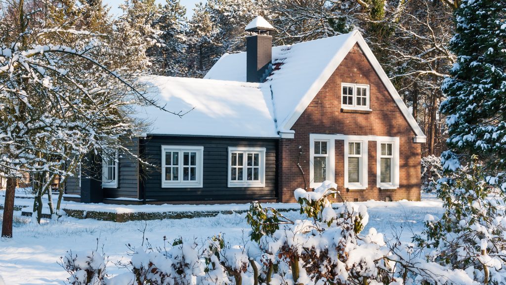 House Hunting Winter